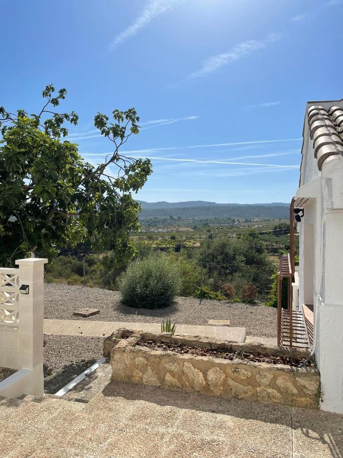Djm Palms - Shared Casa Rural - Casa Rural Compartida - No Es Una Casa Privada Ayora Bagian luar foto